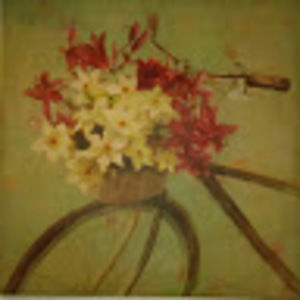 Meet your Posher, Candace